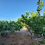 Casa Tra Cielo E Mare Bed and Breakfast Λίπαρι
